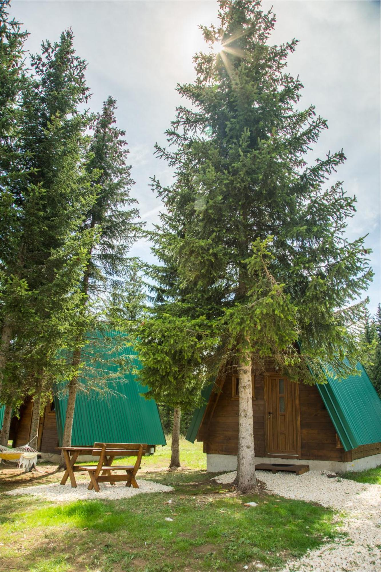 Mountain Emilija * Zabljak (Zabljak)